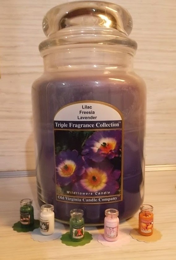 Chris P.'s Minis and More Mini Yankee Candles