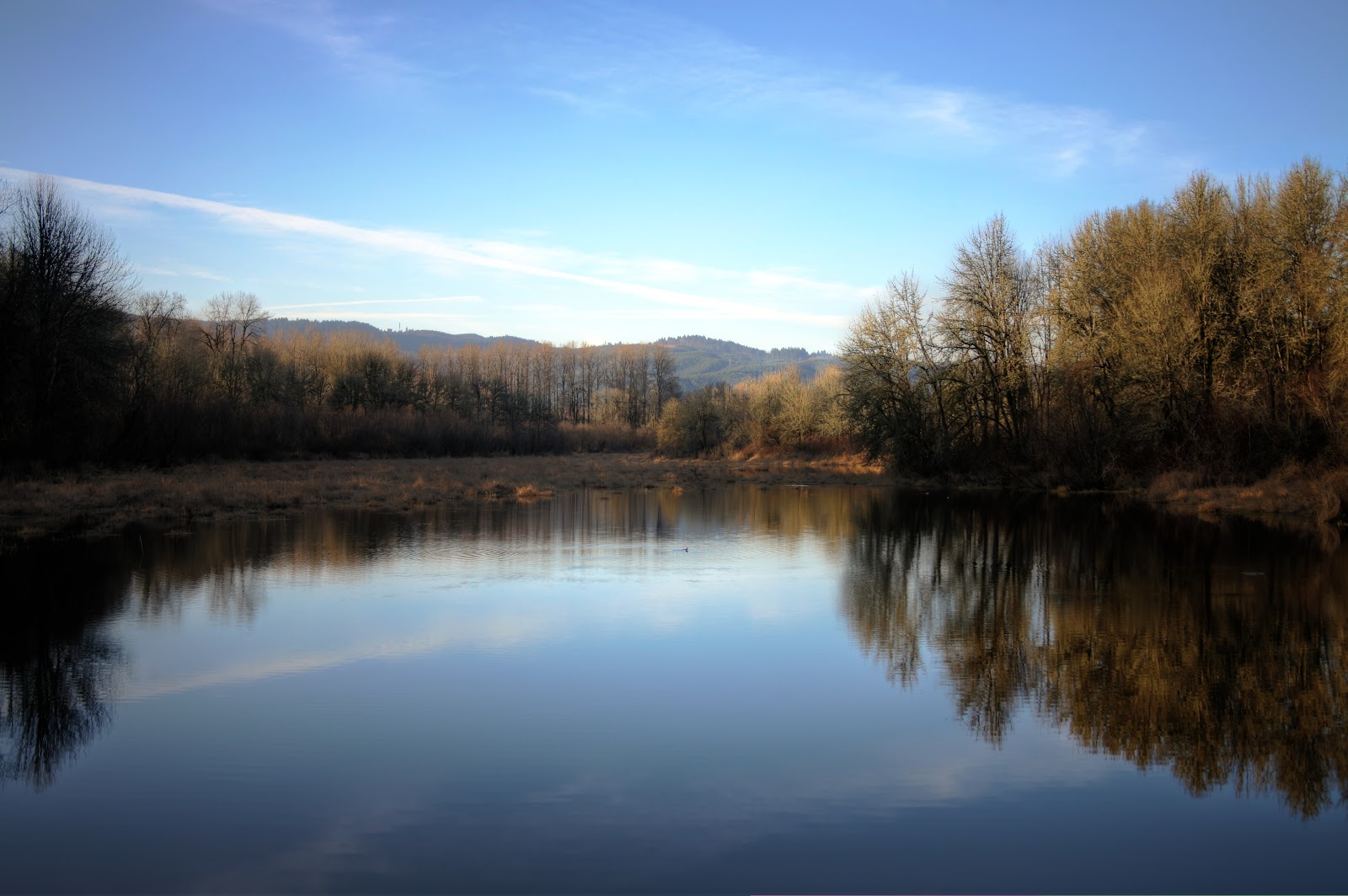 Great Big Open Road Sauvie Island, Oregon...