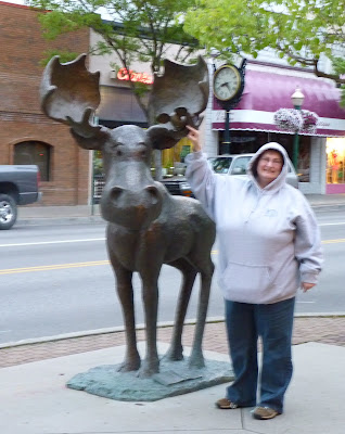 Coeur d'Alene me and moose