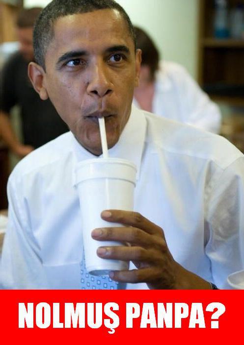 [Resim: nolmus%2Bpanpa.jpg]