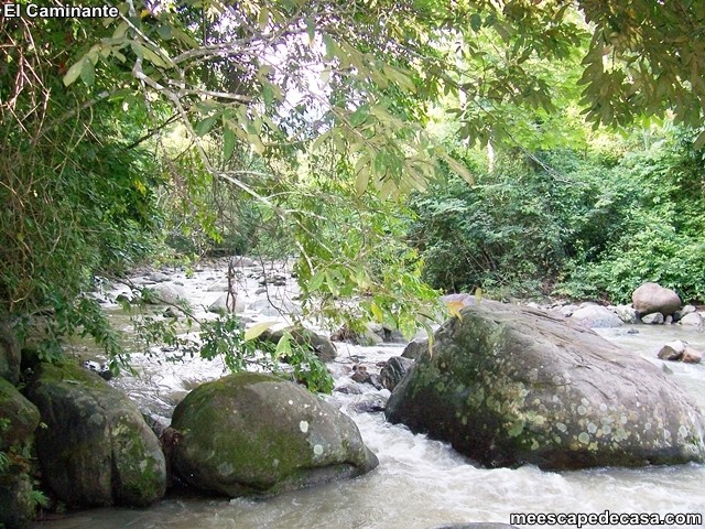 Río Shilcayo (San Martín, Perú)_29-04-07