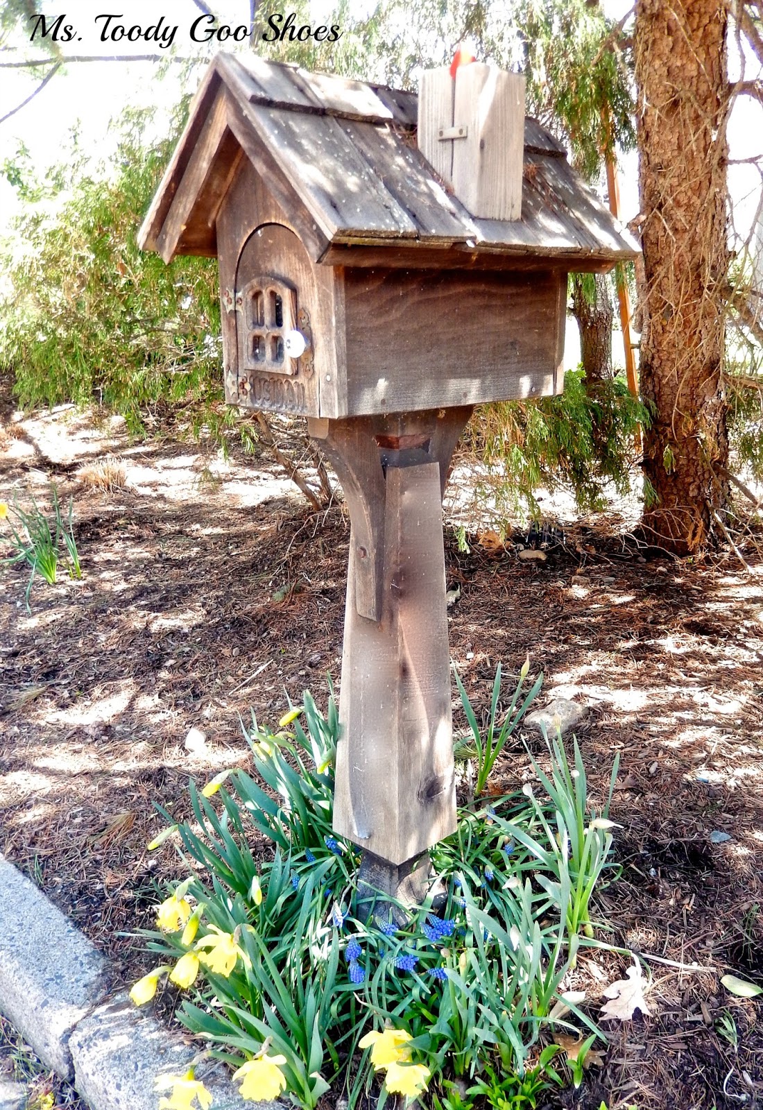 Spring Around The Mailbox: Yellow Daffodils & Purple Grape Hyacinths are a perfect combo --- Ms. Toody Goo Shoes Spring Around The Mailbox: Yellow Daffodils & Purple Grape Hyacinths are a perfect combo --- Ms. Toody Goo Shoes