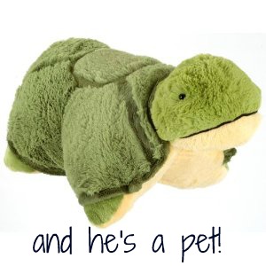 Pillow Pet Turtle
