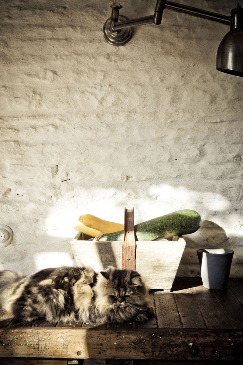 casa de verano de los editores de Milk Magazine
