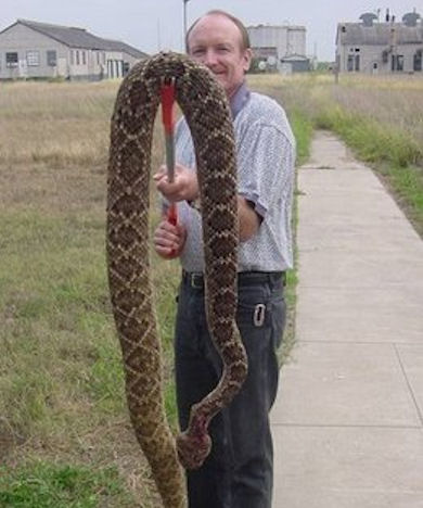 Reptile Dysfunction Reptile Dysfunction