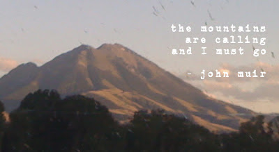 I discovered someone else who broke the rules