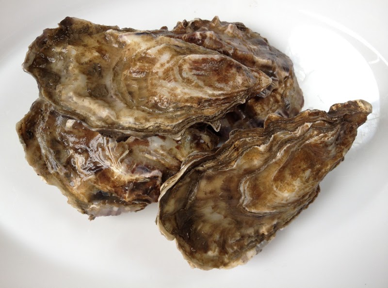 Free From G. Oysters Gluten Free Goodness