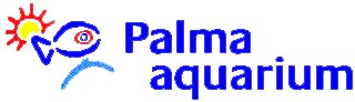 palma-acuario