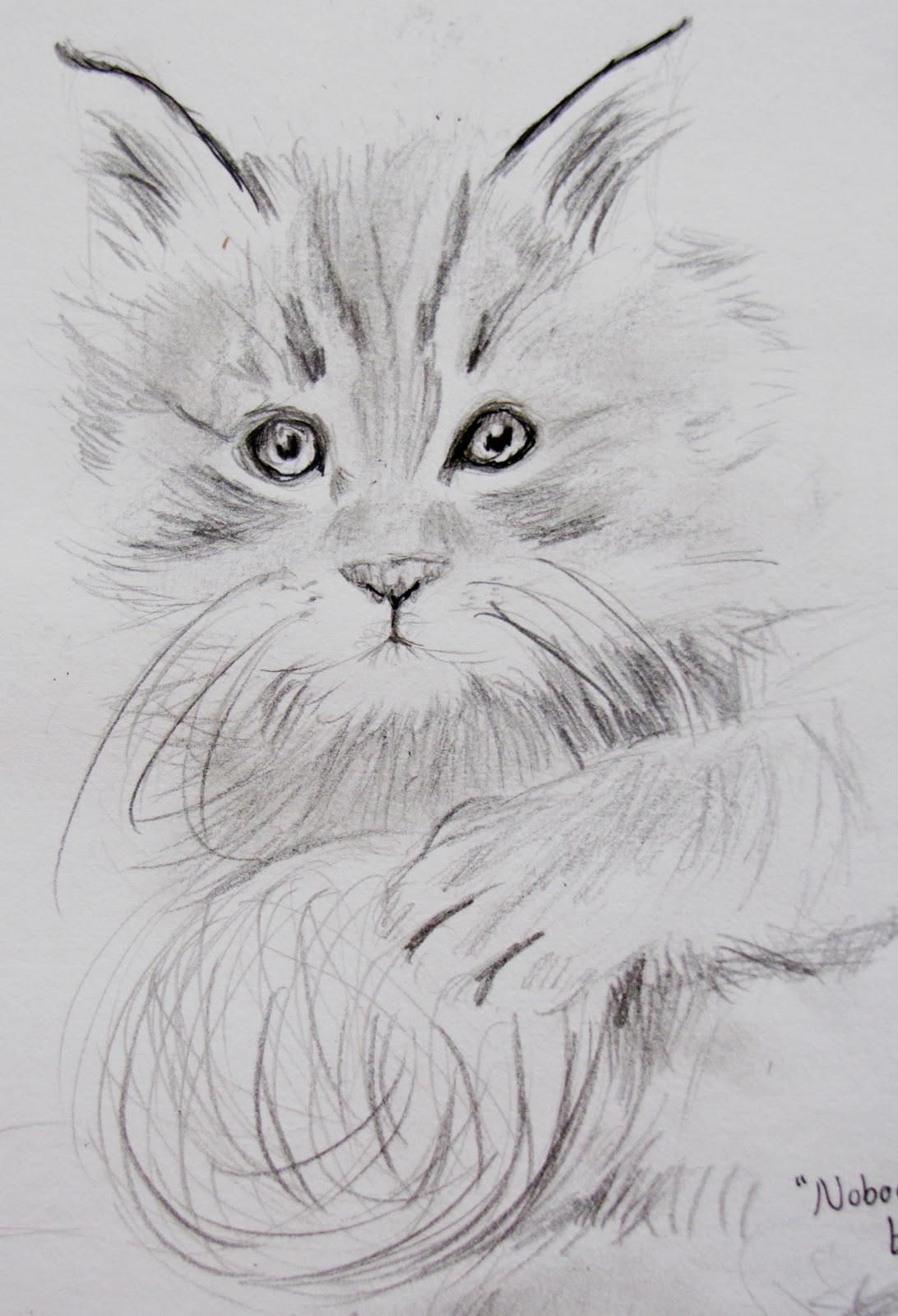 Felicity Deverell: Sketches of Kittens