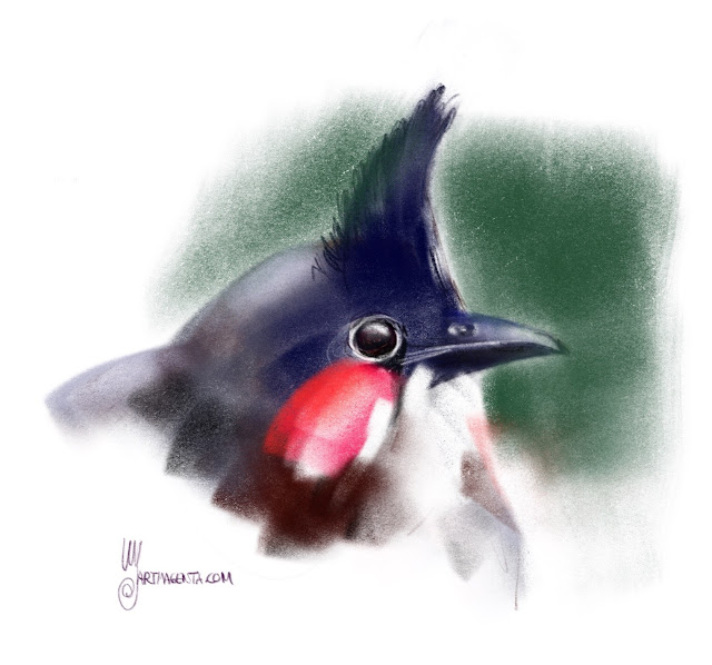Red-whiskered bulbul a bird painting by Artmagenta