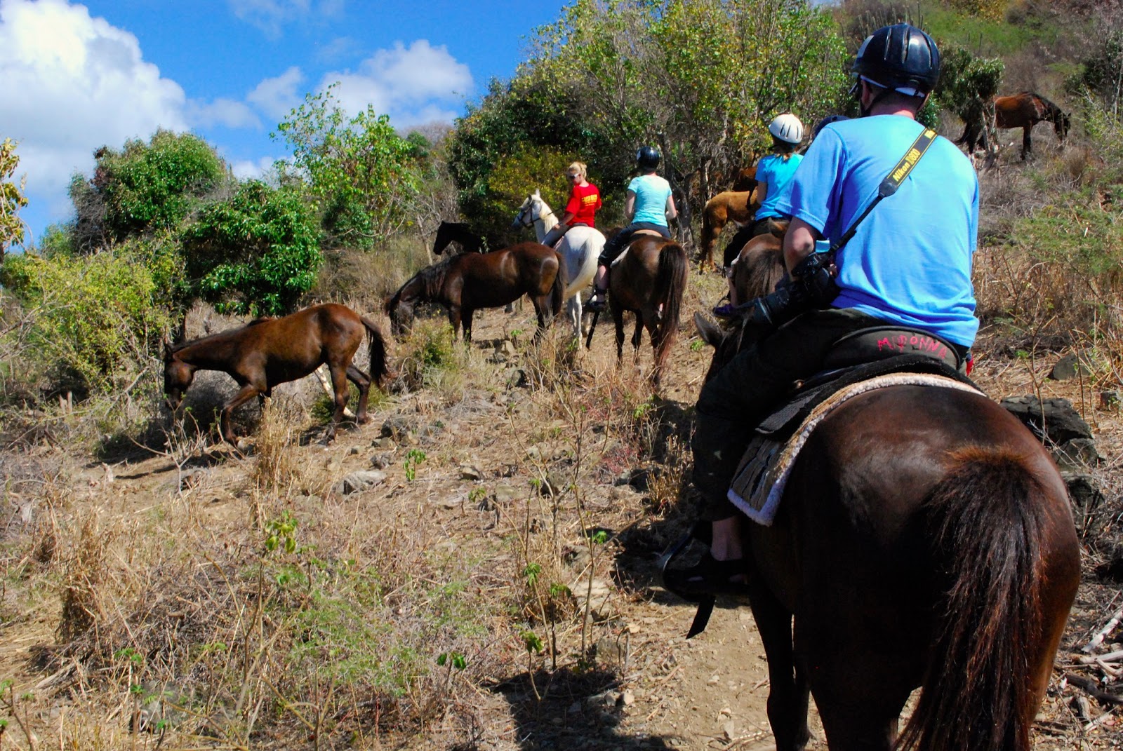 Wanderlust Traveler St. Maarten/St. Martin (Sightseeing)