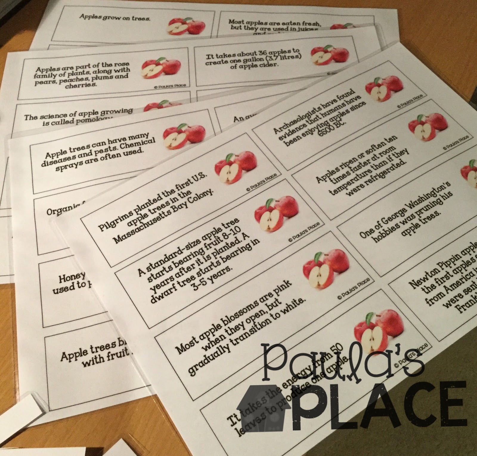 Paula's Place Apples, Apples and More Apples Writing Prompts and