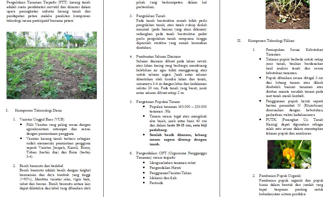 Leaflet Budidaya Kacang Tanah Center B Diorama Penyuluhan Dan Kedaulatan Pangan B Center