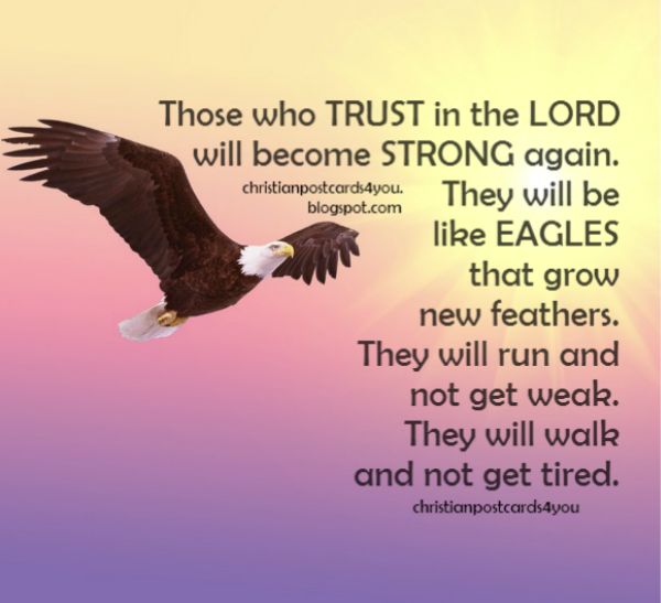 inspirational dissertation quotes inspirational dissertation quotes