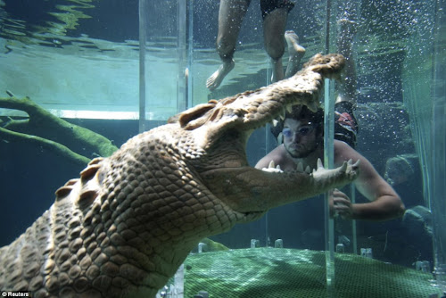 Australian Tourist Attraction- The Cage of Death