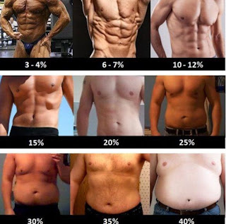 body fat percentage calculator accurate body fat percentage calculator accurate