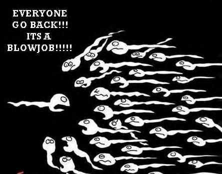 smart-sperms.jpg
