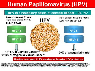 Penyakit Menular Seksual Kutil Kelamin Penyakit Menular Seksual Kutil Kelamin HPv 6 11