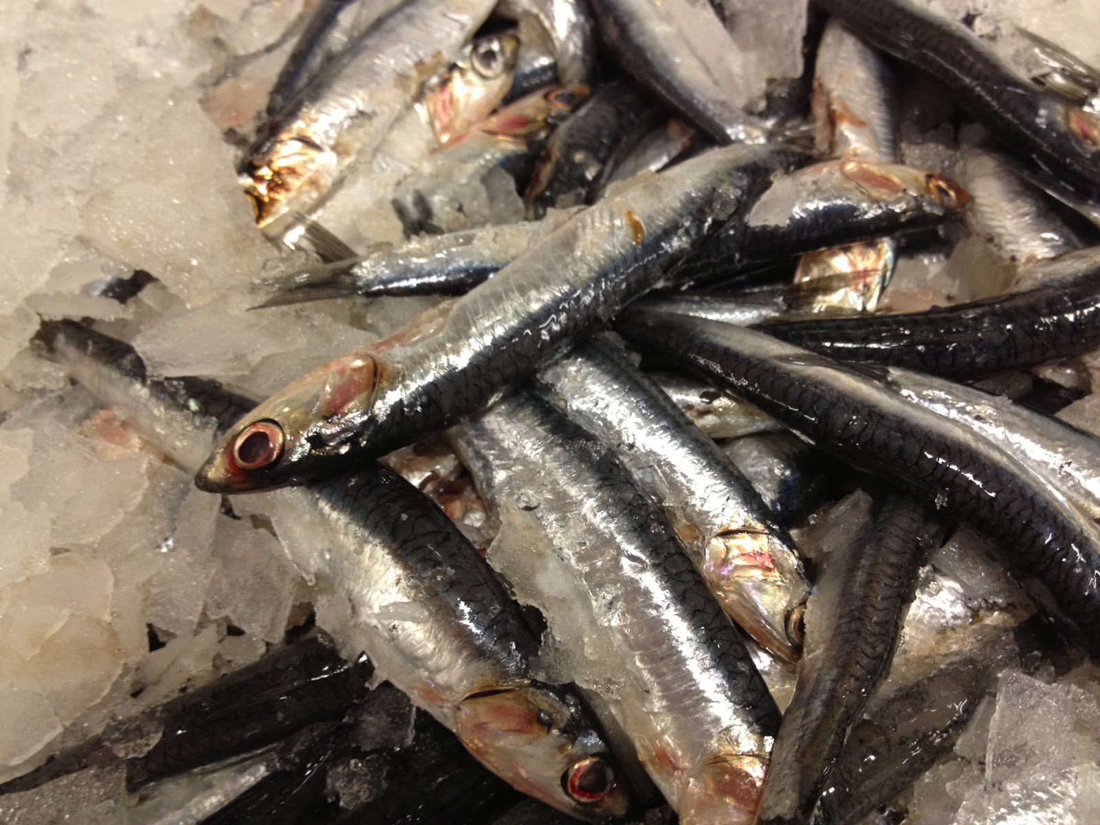 The Edible Ocean Don't Hold The Anchovies