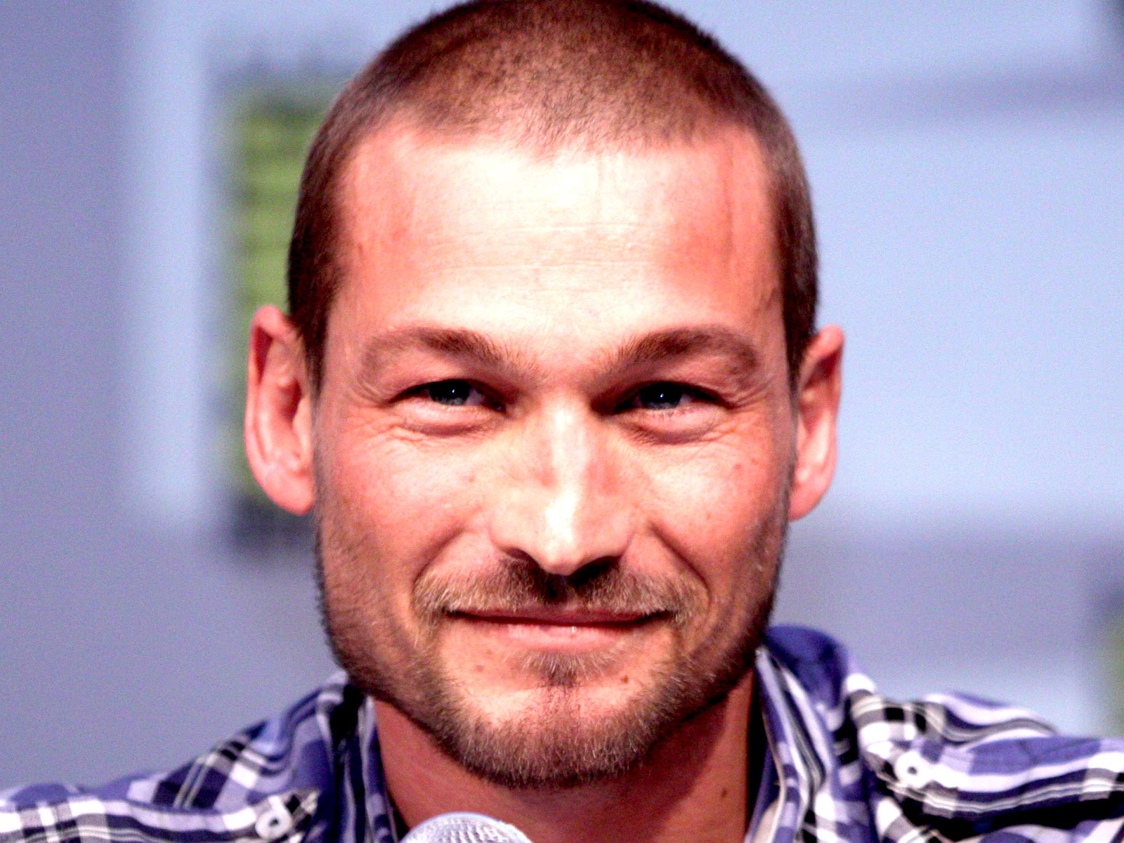 andy whitfield
