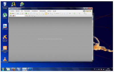 Captura del programa PDF Wiewer sobre el escritorio de Windows