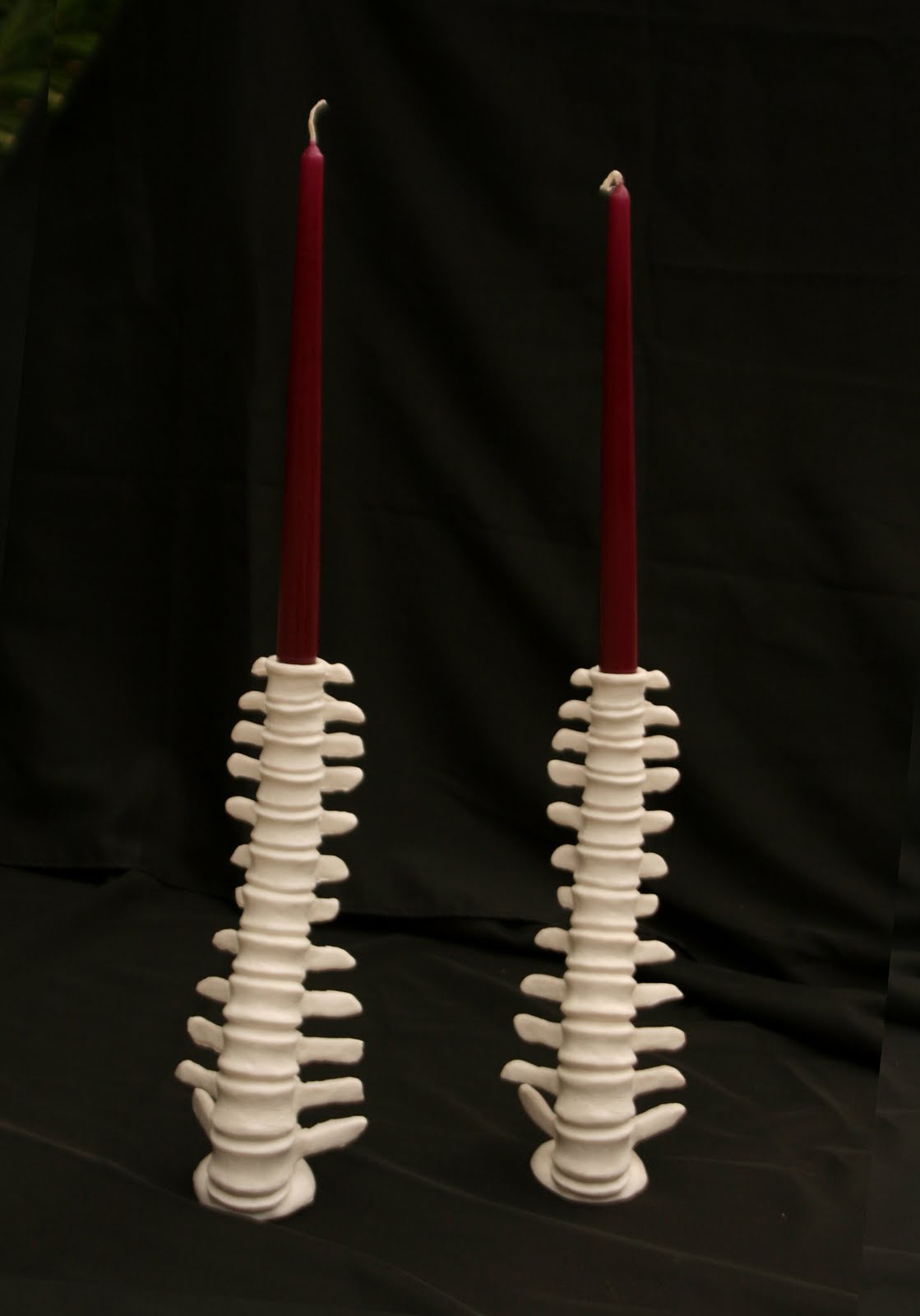 Obscura® presents Screaming Skulls Weird Club Anatomical Home