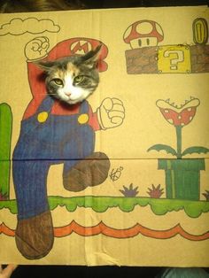 i love mario bros funny cat picture i love mario bros