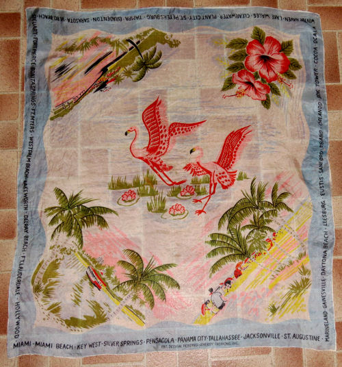 Florida Souvenir Scarf