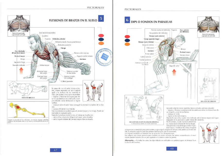 pdf guia de los movimientos de musculacion 5ta edicion