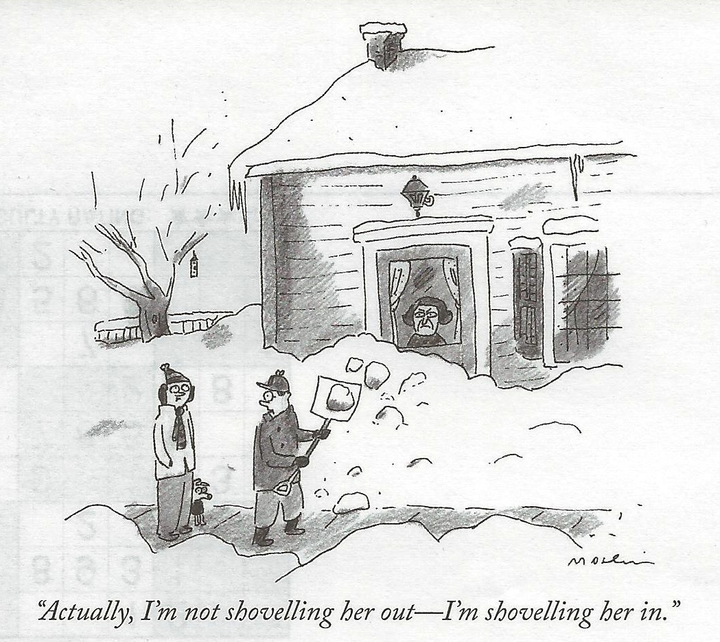 Diary Of A Snow Shoveler Funny Diary Of A Snow Shoveler Funny