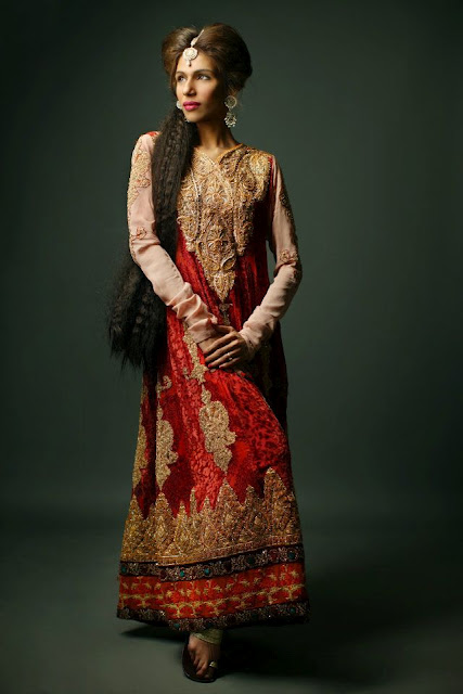 Embroidered Party Wear Collection, Embroidered Dresses Shamaeel