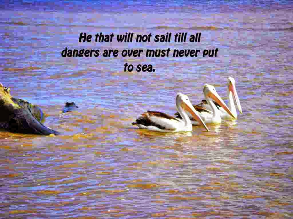 Sea Quotes He taht will note sail till all dangers