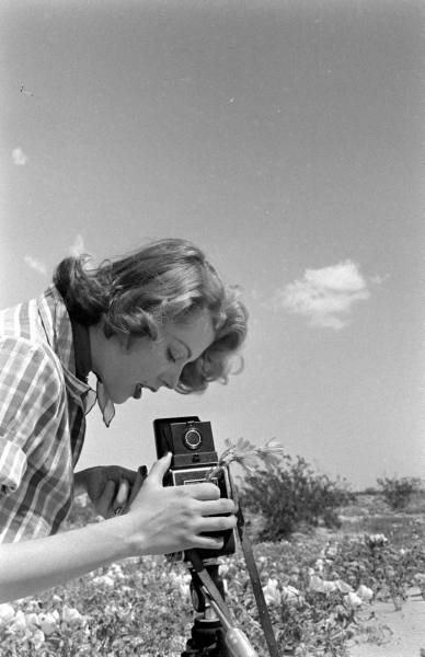 Photos of Actresses Behind The Camera ~ vintage everyday