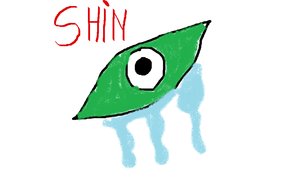 Shin