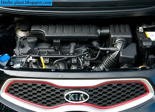 Kia picanto car 2013 engine - صور محرك سيارة كيا بيكانتو 2013 Kia picanto car 2013 engine - صور محرك سيارة كيا بيكانتو 2013