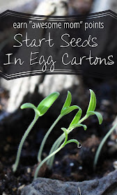 How to start vegetable seeds in egg cartons-- an easy step by step guide. A wonderful gardening project to do with kids of any age. from http://www.makeithandmade.com/2014/02/starting-seeds-in-egg-cartons.html 
