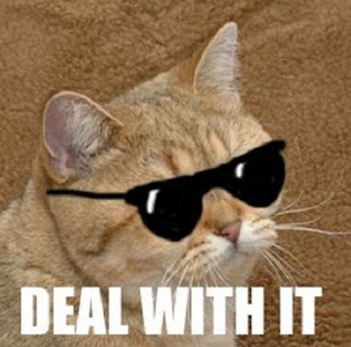 thumb_Deal_With_It.jpg