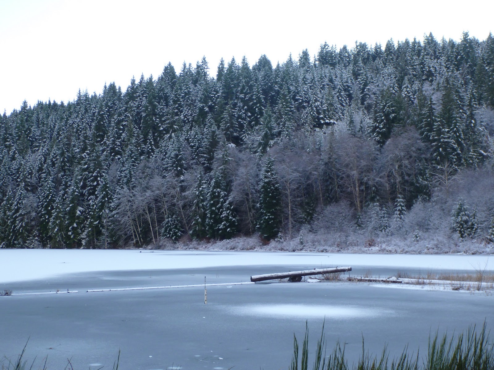 the cynical cyclist Adventure Number Three Allen Lake
