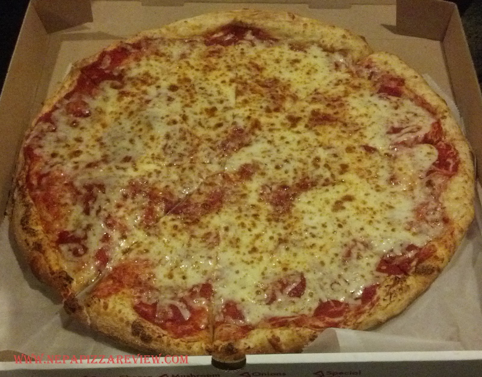 Electric City Pizza Scranton, PA NEPA Pizza Review