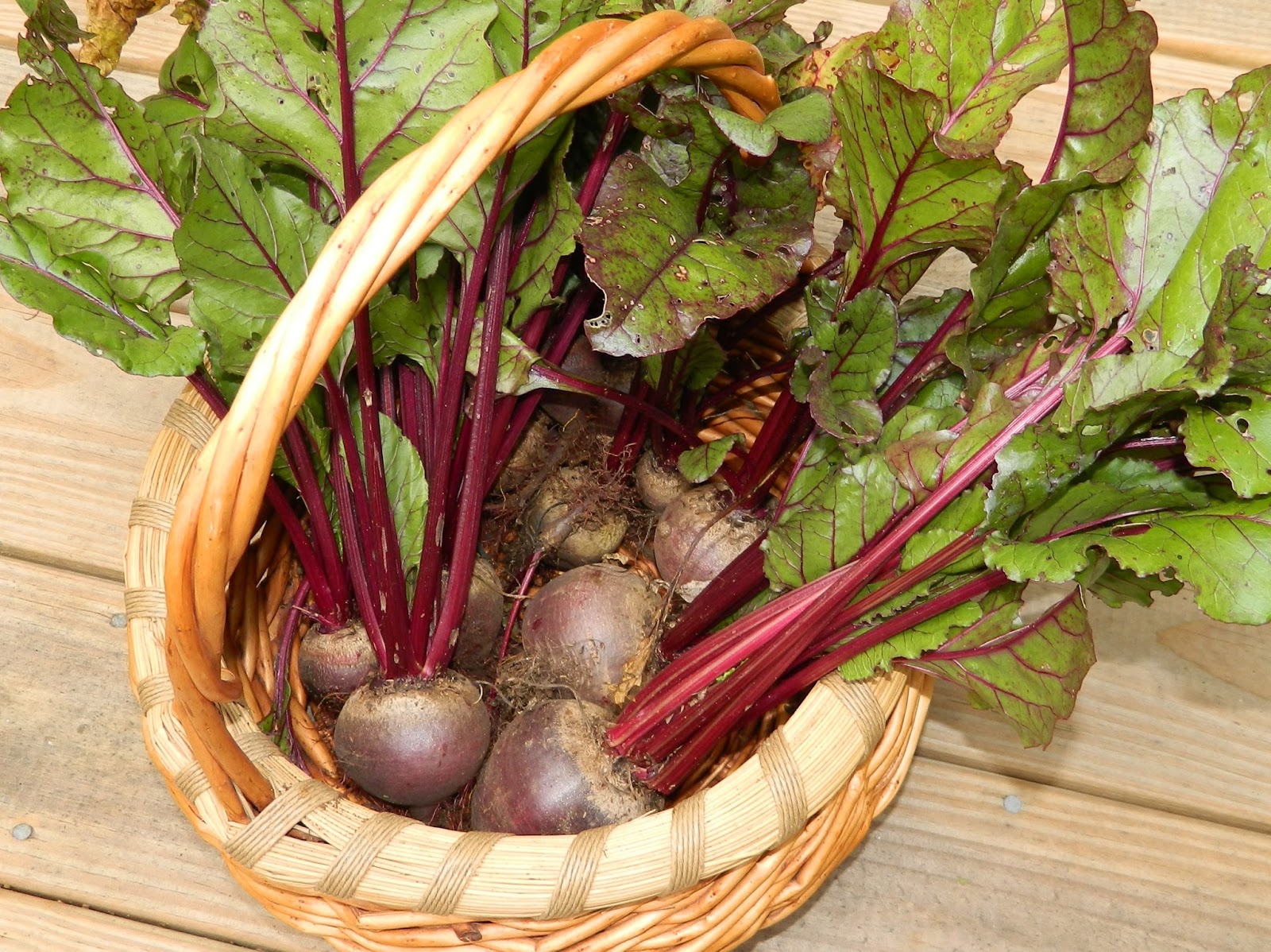 Lise's Log Cabin Life Harvesting and Preserving Beets & Carrots
