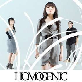Musisi dan Band Indonesia yang Diakui di Luar Negeri homogenic Musisi dan Band Indonesia yang Diakui di Luar Negeri