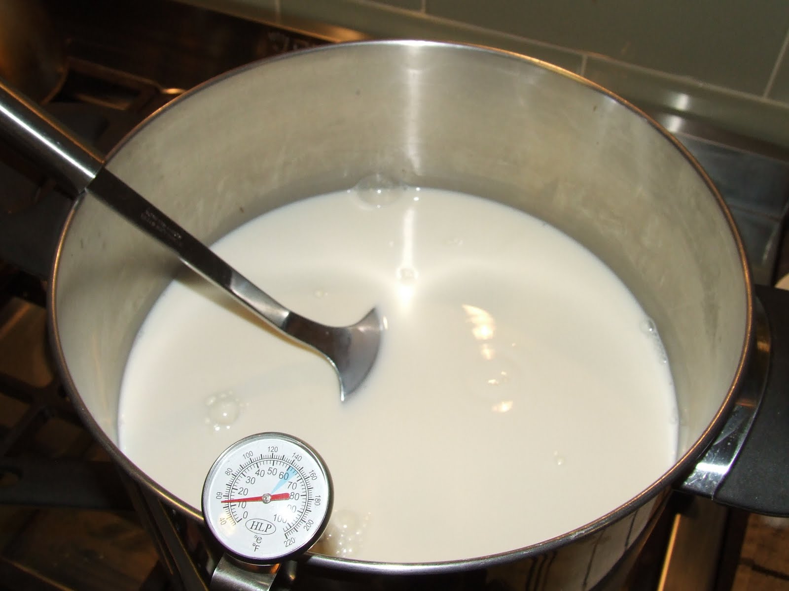 Quick 30 Minute Mozzarella The Greening of Gavin