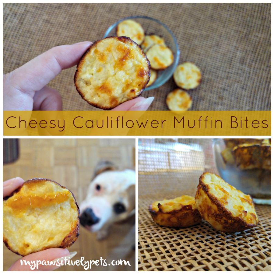 Homemade Dog Treat Recipe Cheesy Cauliflower Muffin Bites