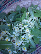 basket of yellow beauties