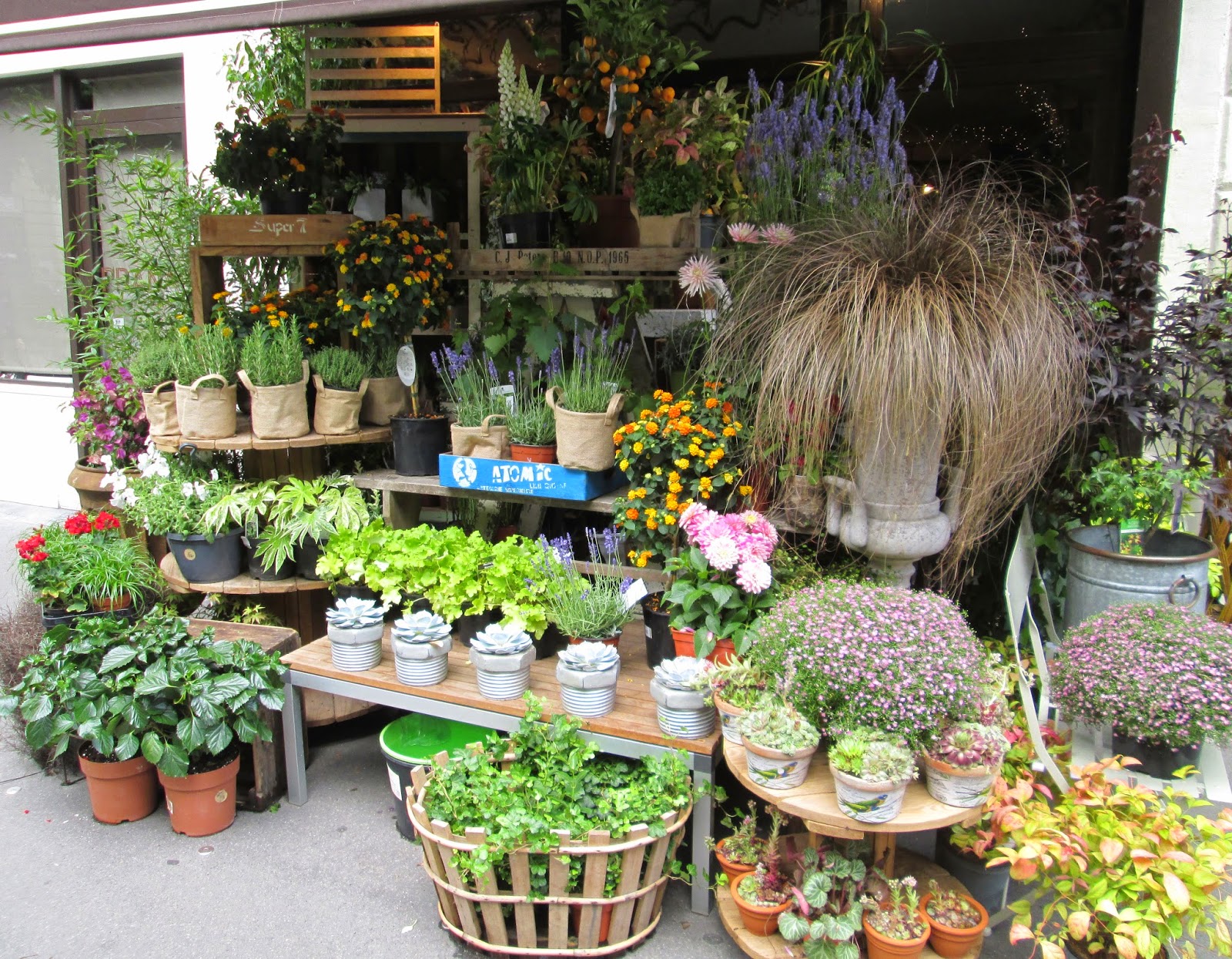 Paris Flower Stores