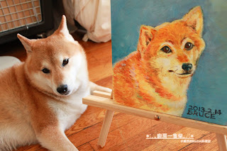 廚房一隻柴-柴犬卡米 油畫