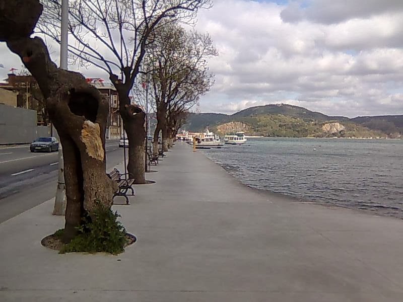 Olan Biten Birçok Şey