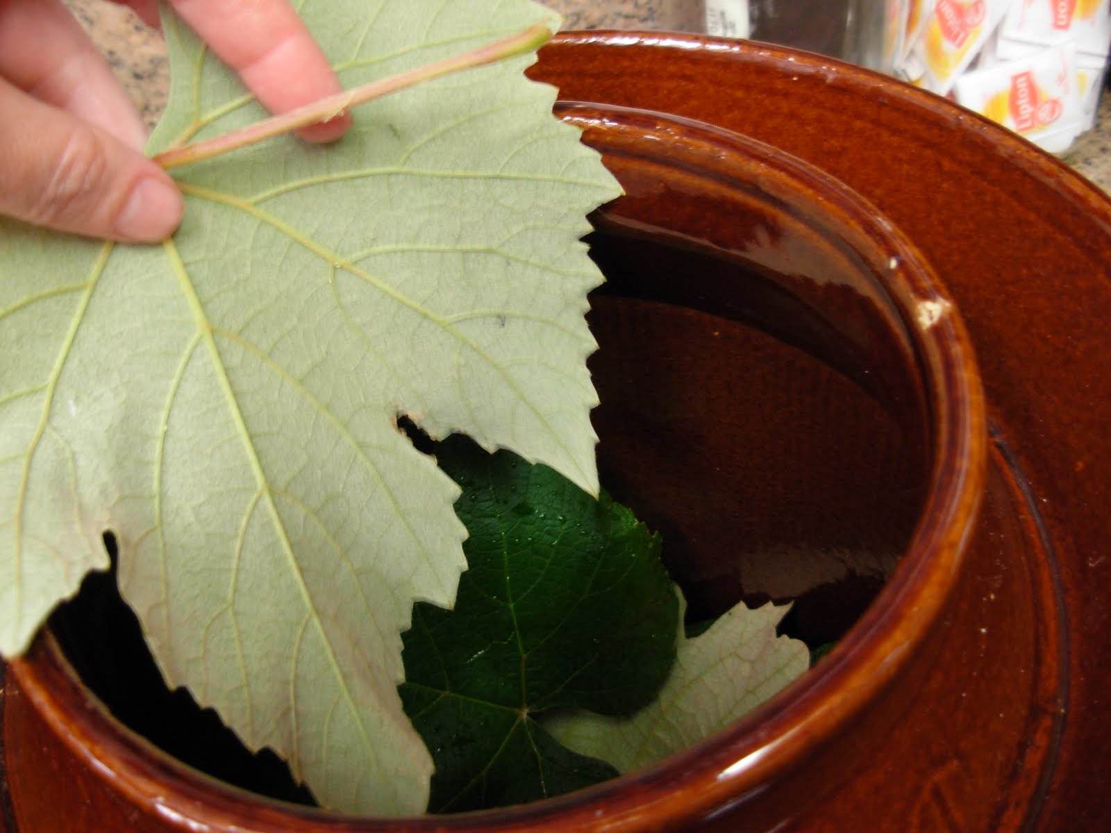 My Simple Country Living Sour Dill Pickles the Old Fashioned Way