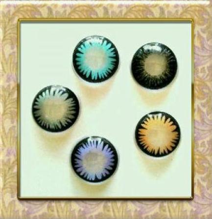 get special items here softlens fit 2 u soft lens fit2u get special items here softlens fit 2 u soft lens fit2u