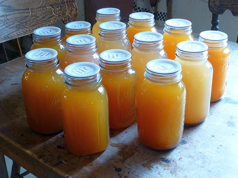 Rural Revolution Making fruit scrap vinegar